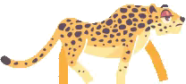 Cheetah — the Animal Capital cast